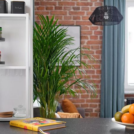 שצ'קלארסקה פוראובה Mikroklimatyczny Apartament Dla 4 Osob - Blisko Szlakow, W Centrum מראה חיצוני תמונה